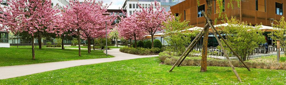 School with natural spaces