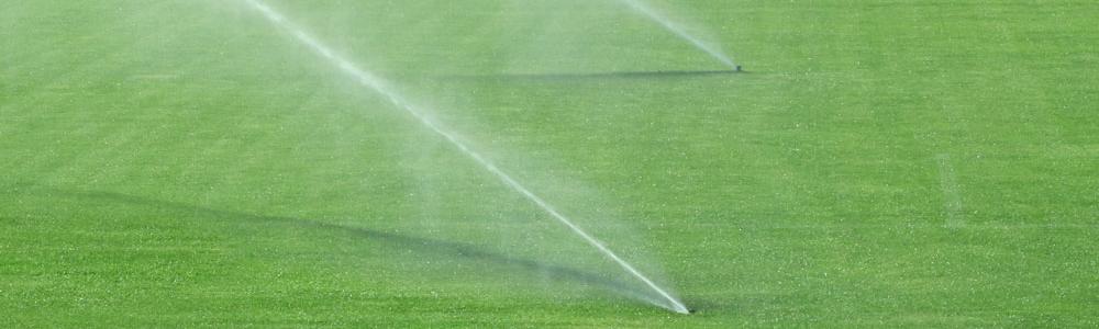 Grass pitch with sprinklers