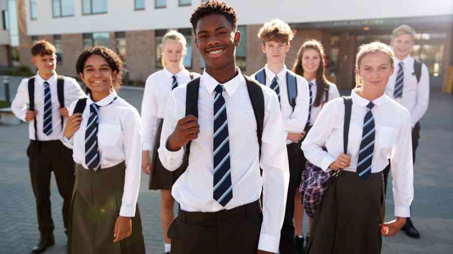 Secondary school pupils