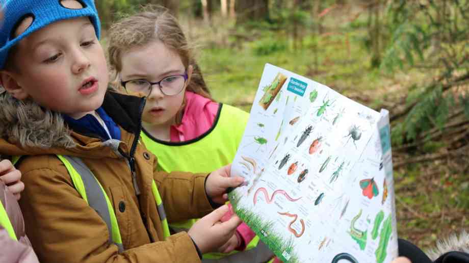 Young children inspect a wildlife infographic outdoors.