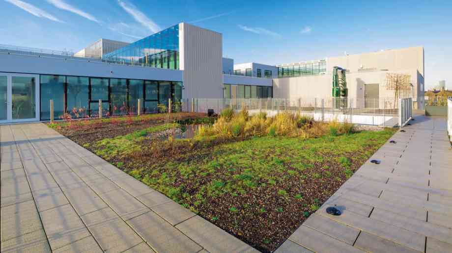 Greenwich University - Blackdown Horticultural Consultants