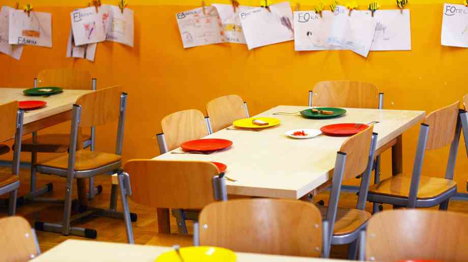 Half of primary school pupils sought support from food banks last summer, figures show 