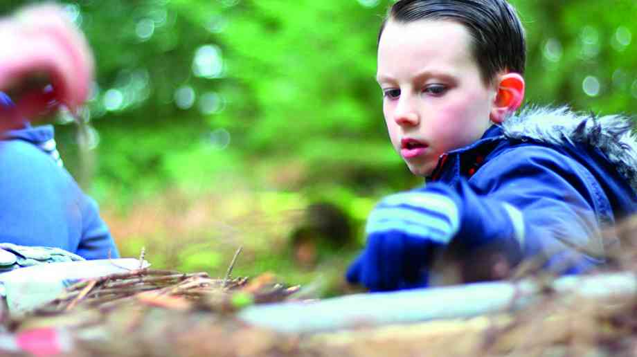 Return on investment from educational visits