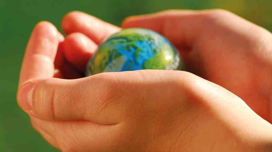 The risk of declining trips
