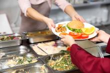 Catering in schools