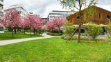 School with natural spaces
