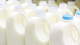 Milk