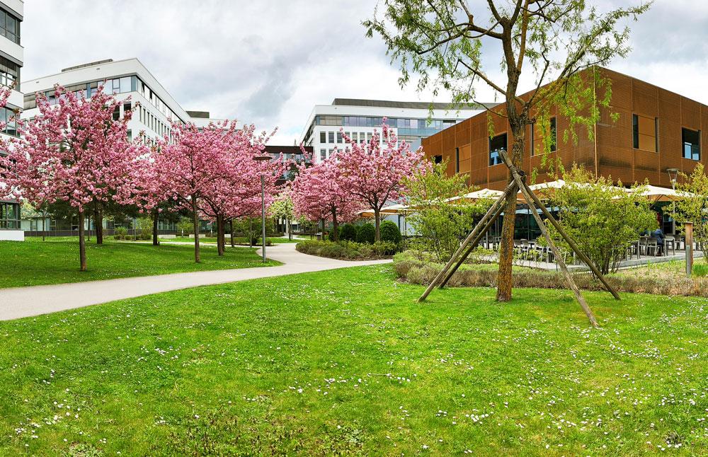School with natural spaces