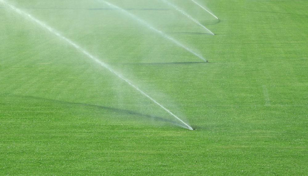 Grass pitch with sprinklers