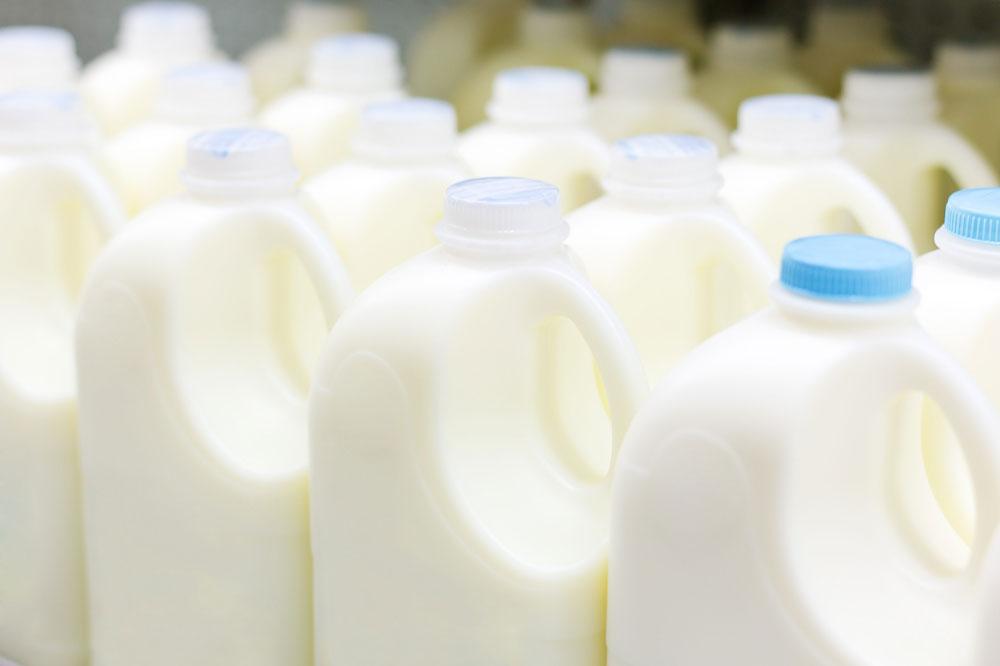 Milk